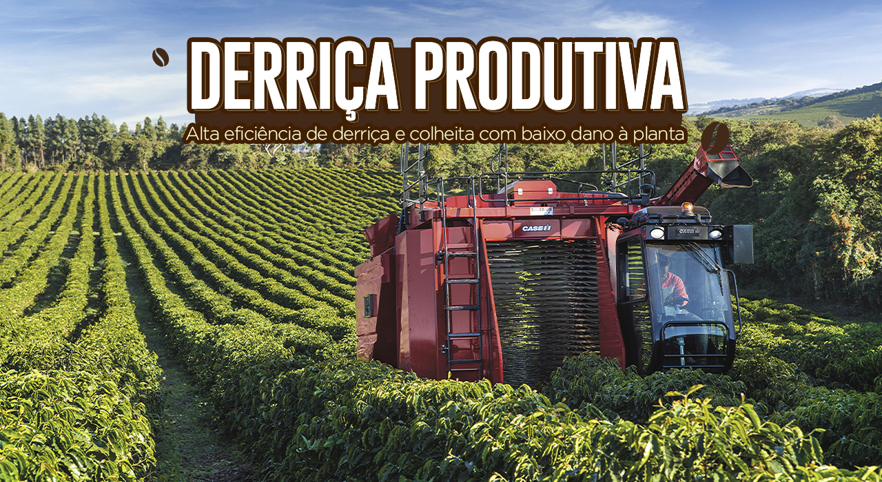 Derriça Produtiva - Banner LP Desktop